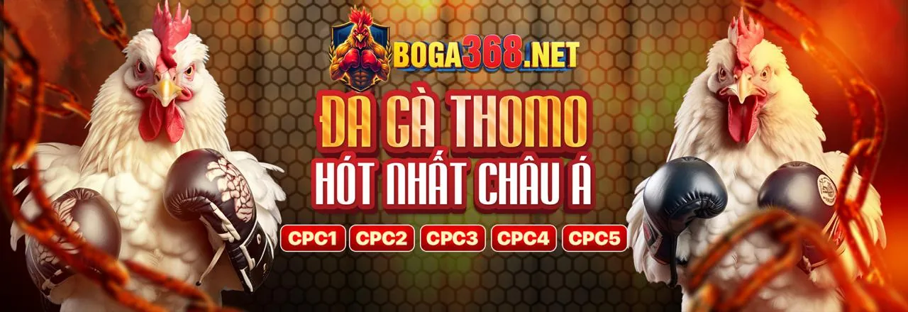 Hình ảnh giới thiệu Bet11 App - Nền tảng cá cược trực tuyến hàng đầu Việt Nam