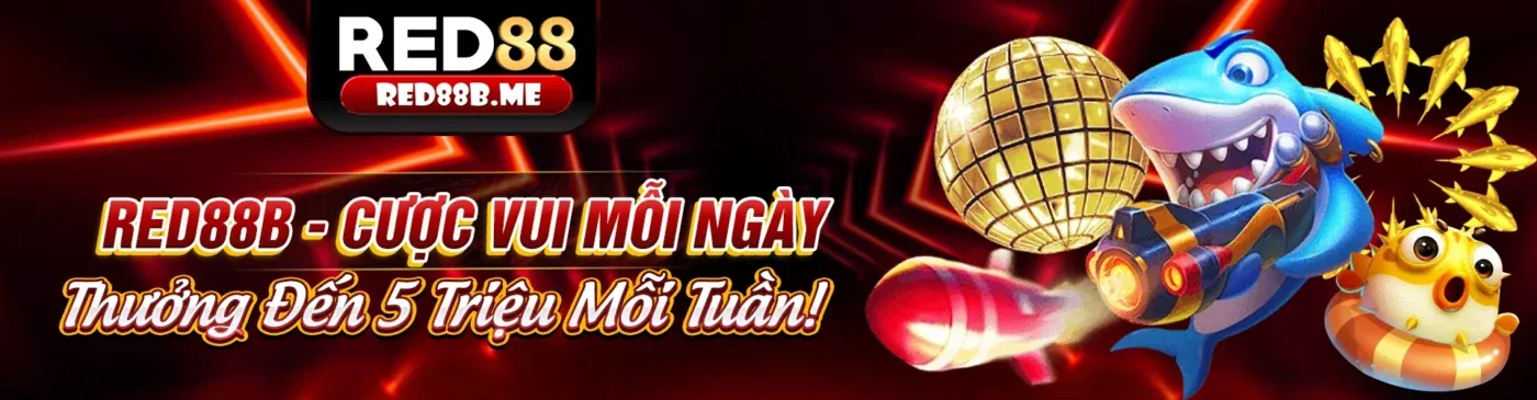 Điều khoản và Điều kiện của ứng dụng Bet11